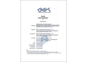 GST1412310800R-ROHS-report