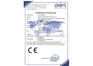 GST1412310800R-ROHS-license