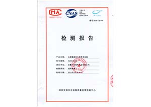 隧道诱导标检测报告