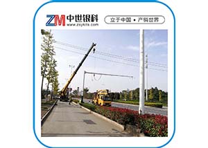 电子警察八角杆